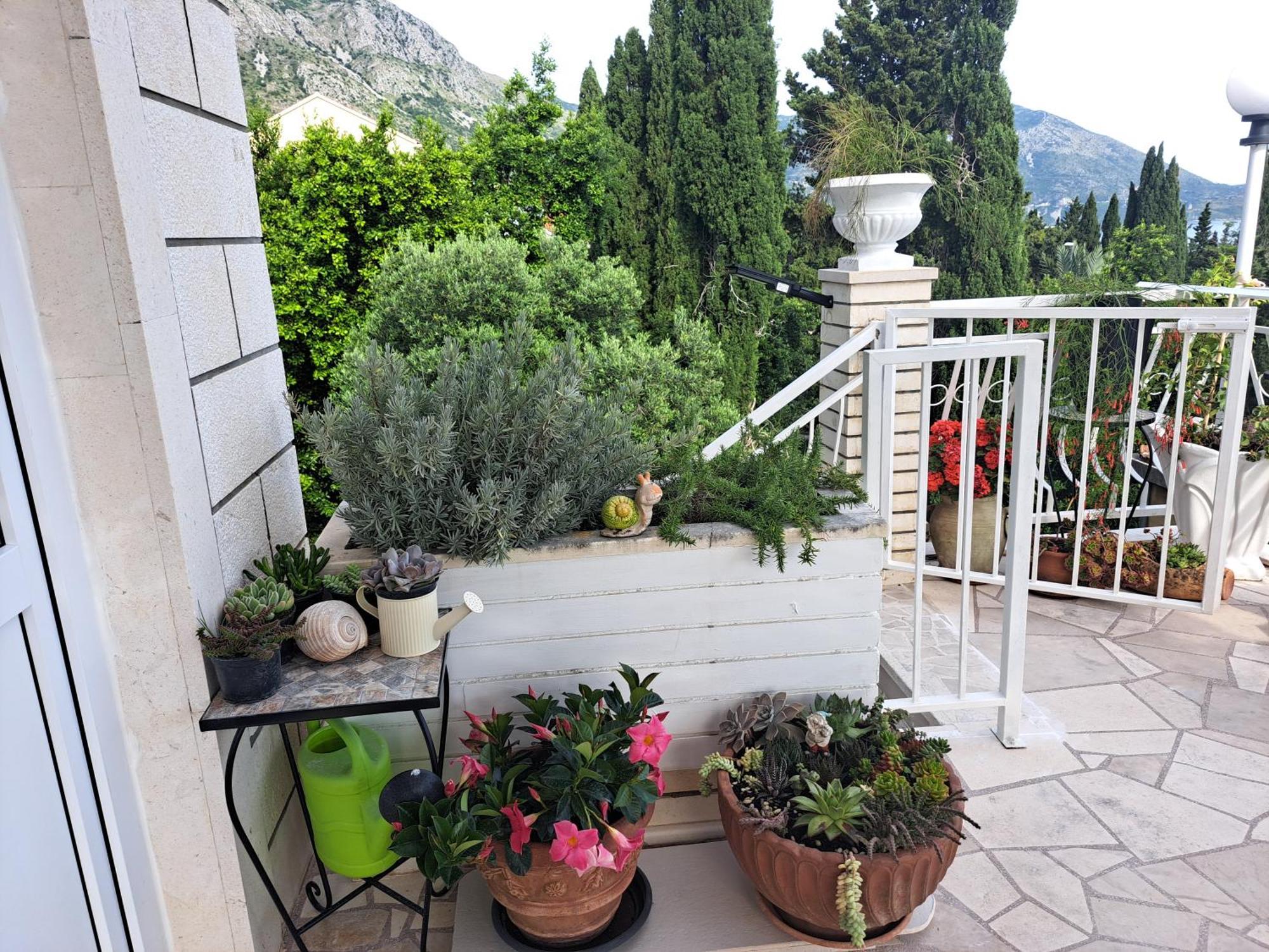 Apartment Blue Pearl Mlini Exterior foto